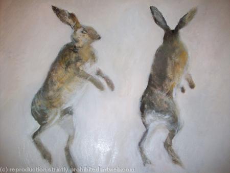 Showtime Boxing Hares