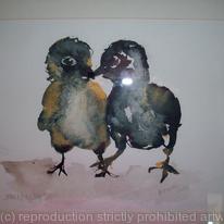 Wee Chicks
