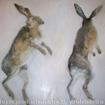 Showtime Boxing Hares