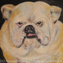 Winston
