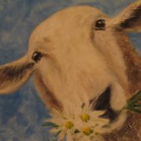 For Ewe