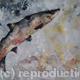 The Journey Home | | 89 x 54cm | acrylic The Journey Home