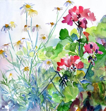 Daisies and Geraniums