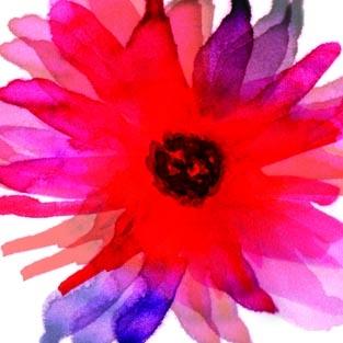 Pink Flower