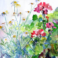 Daisies and Geraniums
