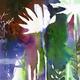 Night flowers