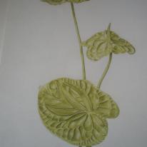 Anthurium