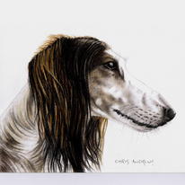 Zak-my lovely boy