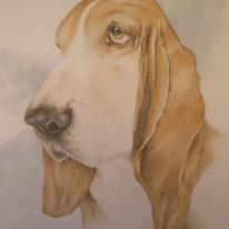 Billy Bassett
