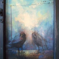 crows
