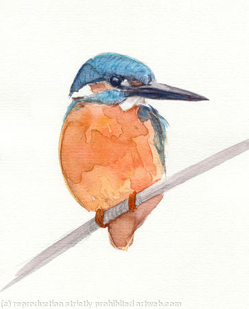 Kingfisher