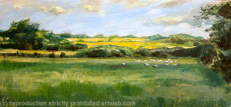 Otmoor in summer