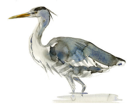Heron 2