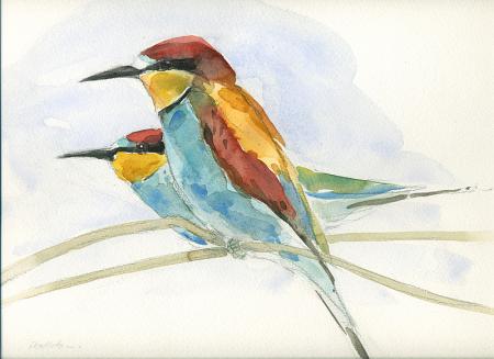 Bee Eater
