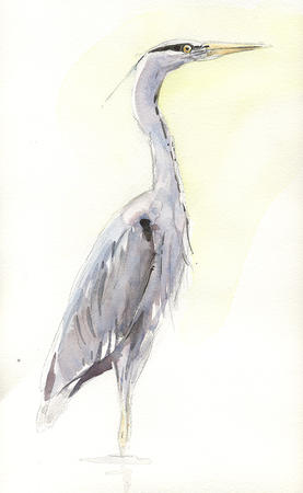 Heron Study 2