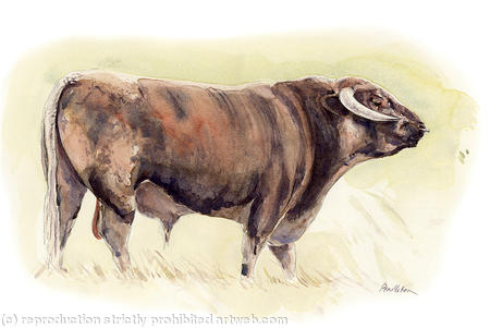 Longhorn 2