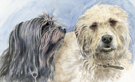 Yogi and Boris