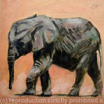 Baby Elephant