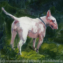 hidden English Bull Terrier