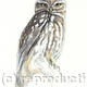Little Owl