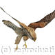Kestrel