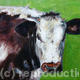 Longhorn Heifer