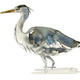 Heron 2