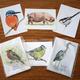 Postcards in packs of…