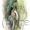 Treecreeper