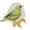Greenfinch 2
