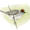 Blackcap (female)