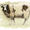Jacob's Sheep