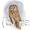 Tawny Owl