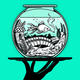 Through A Fish Bowl