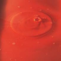 detail red trough