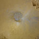 gold disk trough | £350 | | lead gold leaf gold disk trough