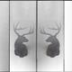 frosted glass door panels