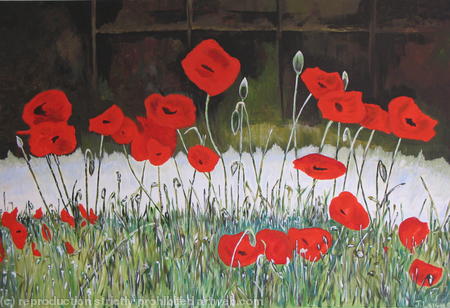 Poppy Grass