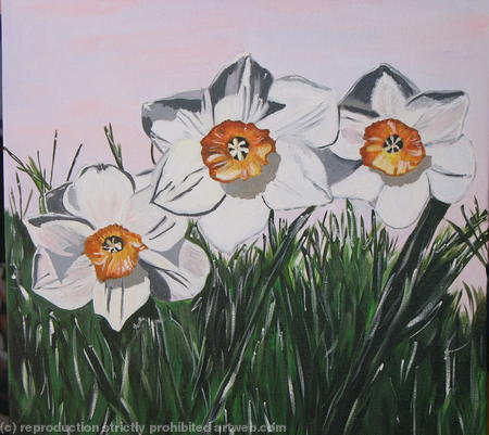 Daisies