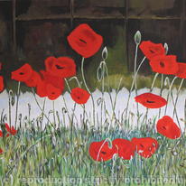 Poppy Grass