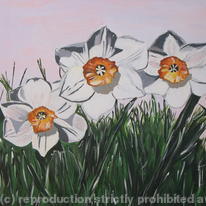 Daisies