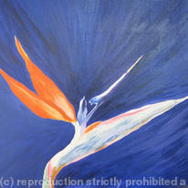 Take Flight