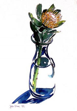 Protea