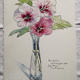 Hibiscuses