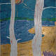 Birch Trees
