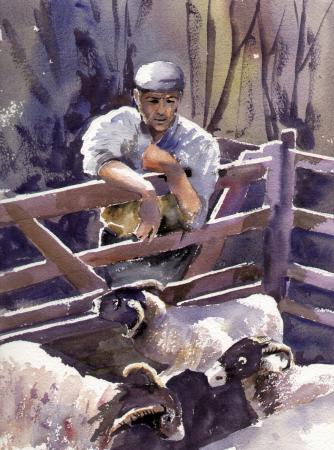 PRIDE OF THE FLOCK