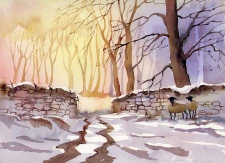 WINTER FIELDS (special offer price)