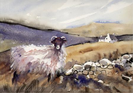 Moorland