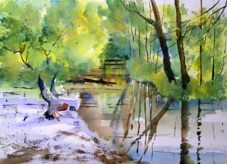 The riverbank, summer 