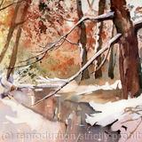 FLYING IN - watercolour